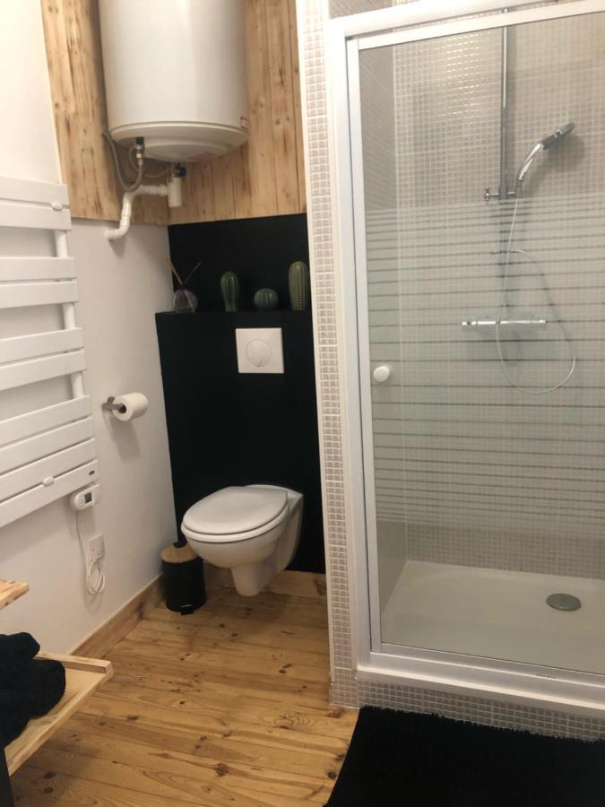 Appartements Coeur De Ville De ヴィシー エクステリア 写真